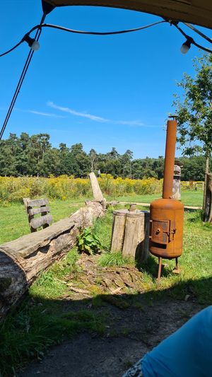 The view from our table at De Carolinahoeve in De Steeg