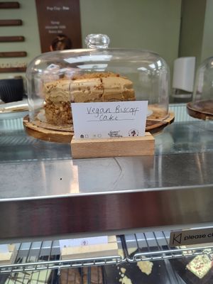 Biscoff sponge at Botanical Babe Plants in Llandudno