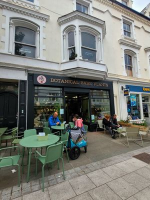 Botanical Babe Plants Outside at Botanical Babe Plants in Llandudno
