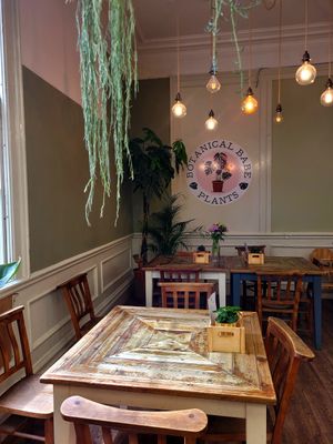 Botanical Babe Plants Inside at Botanical Babe Plants in Llandudno