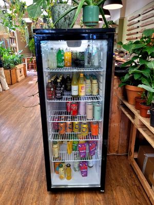 Drinks Fridge at Botanical Babe Plants in Llandudno