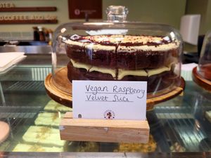 Vegan Raspberry Velvet Slice at Botanical Babe Plants in Llandudno