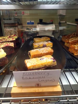 Blueberry Bakewell at Botanical Babe Plants in Llandudno