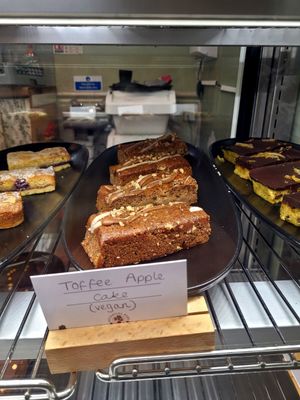 Toffee Apple Cake at Botanical Babe Plants in Llandudno