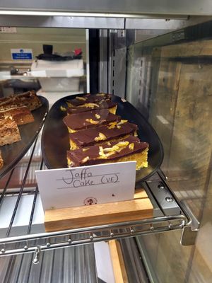 Jaffa Cake at Botanical Babe Plants in Llandudno