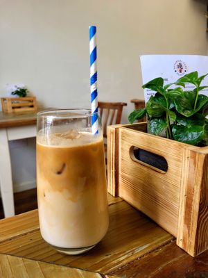 Iced Latte (Oat Milk) at Botanical Babe Plants in Llandudno