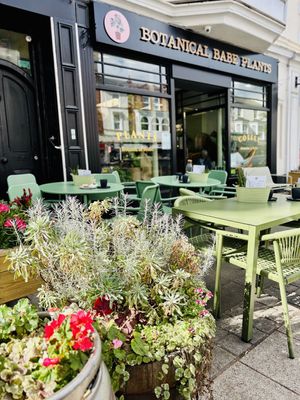   at Botanical Babe Plants in Llandudno