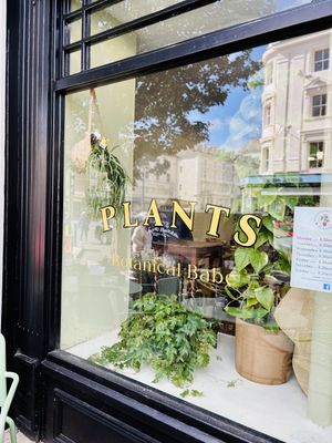   at Botanical Babe Plants in Llandudno