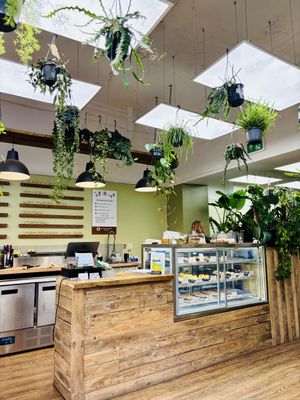   at Botanical Babe Plants in Llandudno