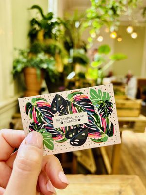   at Botanical Babe Plants in Llandudno