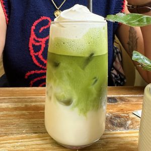 Matcha   at Botanical Babe Plants in Llandudno