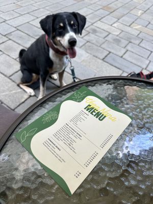   at VegaNana in Bratislava