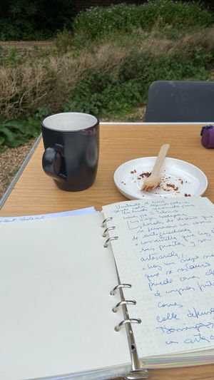 Lovely location, great atmosphere. The garden is perfect to connect with nature while enjoying your coffee. at Southlands Community Cafe in West Drayton