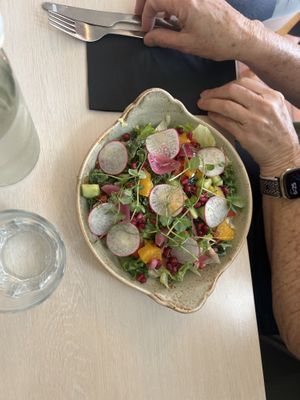 Vegan salad  at Naustið in Husavik