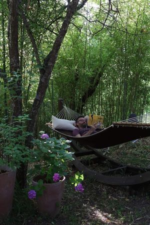  at Il Giardino degli Alberi Maestri in Bettola