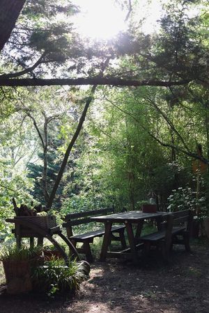  at Il Giardino degli Alberi Maestri in Bettola