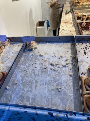   at Cinnamood in Frankfurt