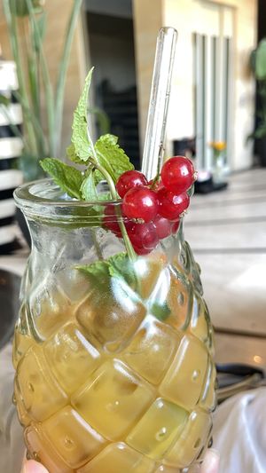 Tropical Dust  at Project Vegan in Koblenz