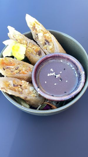 Buddha Rolls  at Project Vegan in Koblenz