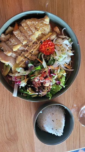 Vegan chicken at Project Vegan in Koblenz