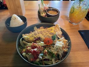 Vegan chicken with peanut sauce. Summer rolls with tofu in the background   at Project Vegan in Koblenz