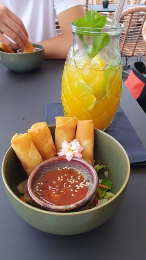  at Project Vegan in Koblenz