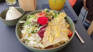  at Project Vegan in Koblenz