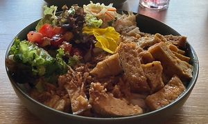   at Project Vegan in Koblenz