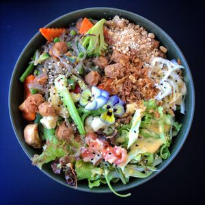 Stunning food, well worth a visit!   at Project Vegan in Koblenz