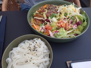 Ente & Reisnudeln at Project Vegan in Koblenz