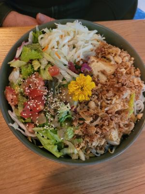  at Project Vegan in Koblenz