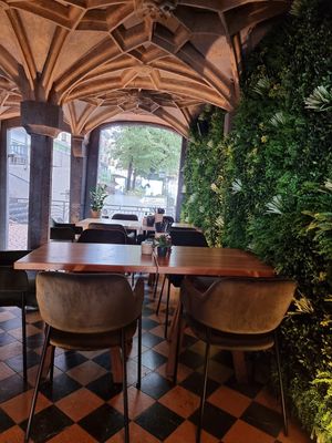  at Project Vegan in Koblenz