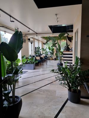 Interior at Project Vegan in Koblenz