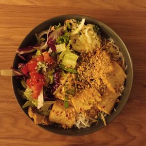  at Project Vegan in Koblenz