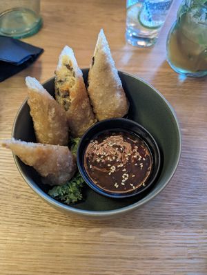 Frittierte Rollen at Project Vegan in Koblenz
