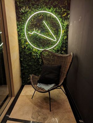  at Project Vegan in Koblenz