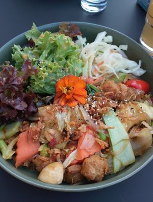  at Project Vegan in Koblenz