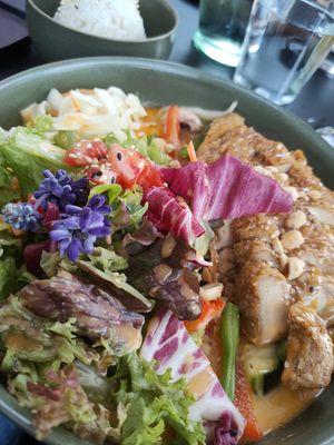  at Project Vegan in Koblenz