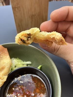 wantan   at Project Vegan in Koblenz