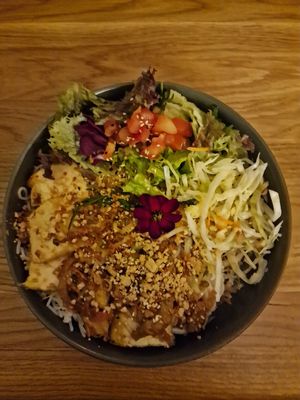  at Project Vegan in Koblenz