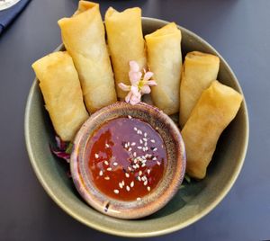  at Project Vegan in Koblenz