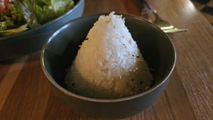  at Project Vegan in Koblenz