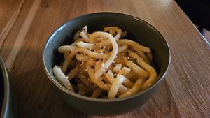  at Project Vegan in Koblenz