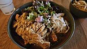  at Project Vegan in Koblenz