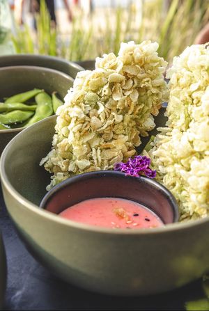 Dragon Rolls  at Project Vegan in Koblenz