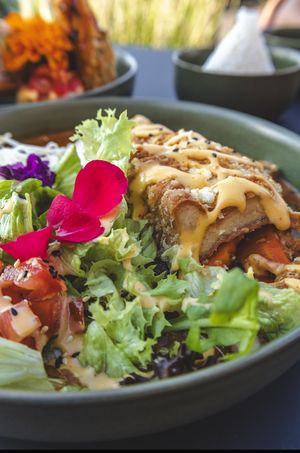   at Project Vegan in Koblenz