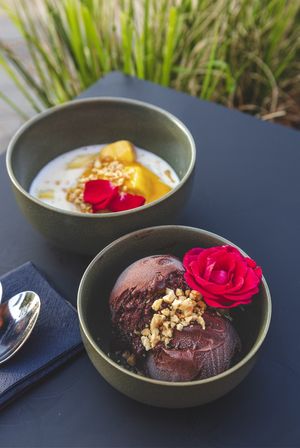 Mango sticky rice & choco choco  at Project Vegan in Koblenz