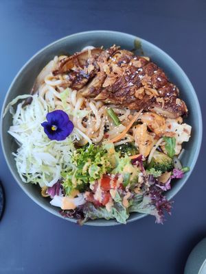  at Project Vegan in Koblenz