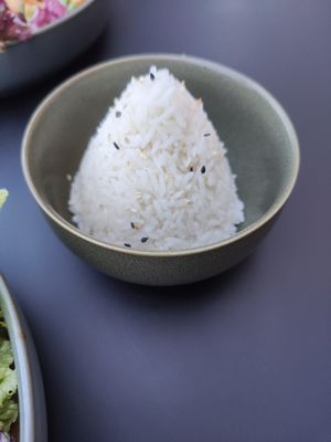  at Project Vegan in Koblenz