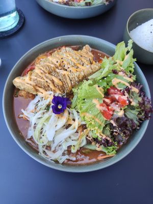  at Project Vegan in Koblenz